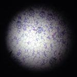 10932158_387267258112497_1644217662_n 10932158_387267258112497_1644217662_n