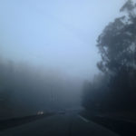 1/30 - morning drive