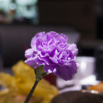 20170216-L1080043-Edited 20170216-L1080043-Edited