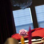 20170216-L1080045-Edited 20170216-L1080045-Edited