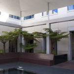 20170222-L1080115-Edited 20170222-L1080115-Edited