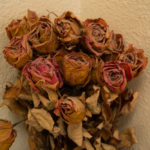 Critique #1 - Image #11 Critique #1 - Image #11