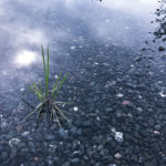 Critique #1 - Image #14 Critique #1 - Image #14