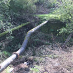 Critique #1 - Image #15 Critique #1 - Image #15