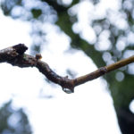 Critique #1 - Image #3 Critique #1 - Image #3