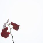 Critique #1 - Image #4 Critique #1 - Image #4