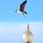 DSC_2886JPG DSC_2886JPG