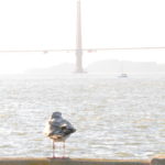 DSC_2891JPG DSC_2891JPG