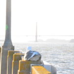 DSC_2926JPG DSC_2926JPG