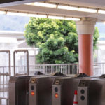 Don't Deny Don't Deny