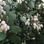 IMG_0661 (1) IMG_0661 (1)