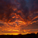 IMG_7210 (1) IMG_7210 (1)