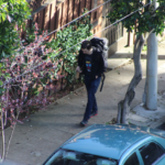 Screen Shot 2017-02-12 at 5.08.02 PM