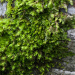 SmallWorlds (9 of 10)