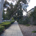 20170222-L1080111-Edited