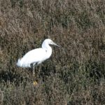 Prints (1 of 16) Prints (1 of 16)