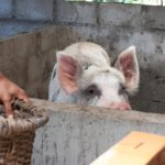 Prints (10 of 16) Prints (10 of 16)