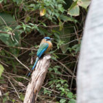 Prints (11 of 16) Prints (11 of 16)