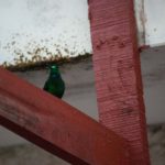 Prints (12 of 16) Prints (12 of 16)