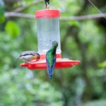 Prints (13 of 16) Prints (13 of 16)