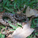 Prints (16 of 16) Prints (16 of 16)