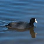 Prints (2 of 16) Prints (2 of 16)