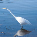 Prints (3 of 16) Prints (3 of 16)