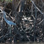 Prints (4 of 16) Prints (4 of 16)