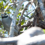 Prints (5 of 16) Prints (5 of 16)