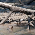 Prints (6 of 16) Prints (6 of 16)