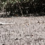 Prints (7 of 16) Prints (7 of 16)