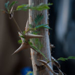 Prints (8 of 16) Prints (8 of 16)