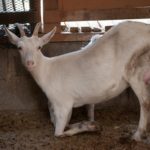 Prints (9 of 16) Prints (9 of 16)