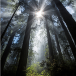 Screen Shot 2017-03-20 at 9.27.45 PM Screen Shot 2017-03-20 at 9.27.45 PM