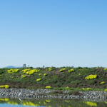 c2 (2 of 5) c2 (2 of 5)