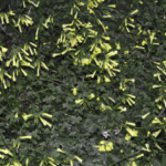 haha I turned the vibrance DOWN here!