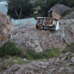 someone left their book