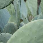 Crit3Postlim (11 of 15)