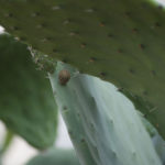 Crit3Postlim (12 of 15)