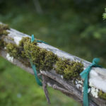 Crit3Postlim (13 of 15)