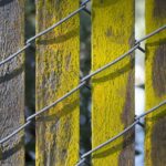 Crit3Postlim (14 of 15)