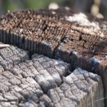 Crit3Postlim (15 of 15)