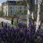 Crit3Postlim (2 of 15)