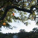 Crit3Postlim (7 of 15)