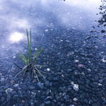 Critique #1 - Image #14