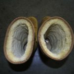 Thomas - Critique 3.1