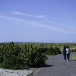 Thomas - Critique 3.10