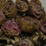 Thomas - Critique 3.2