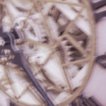 ClockMotion