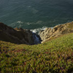 Skyless Cove copy